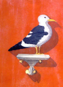 Sea-Gull