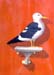 Sea-Gull